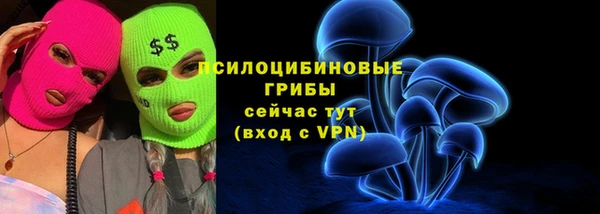 эйфоретик Арсеньев