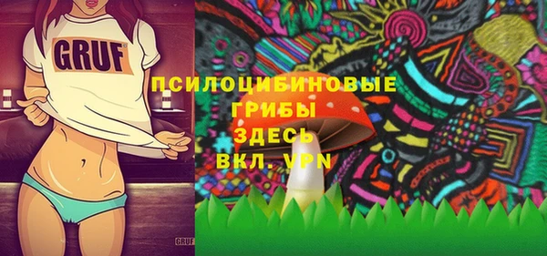 эйфоретик Арсеньев