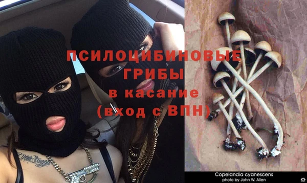 кокаин Аркадак