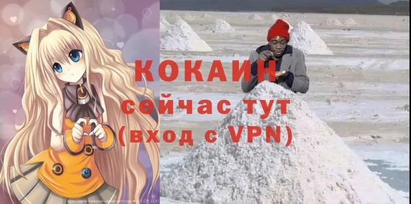 эйфоретик Арсеньев