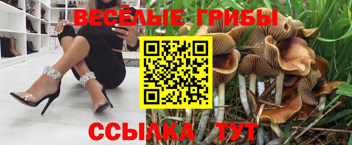 Галлюциногенные грибы прущие грибы Белово