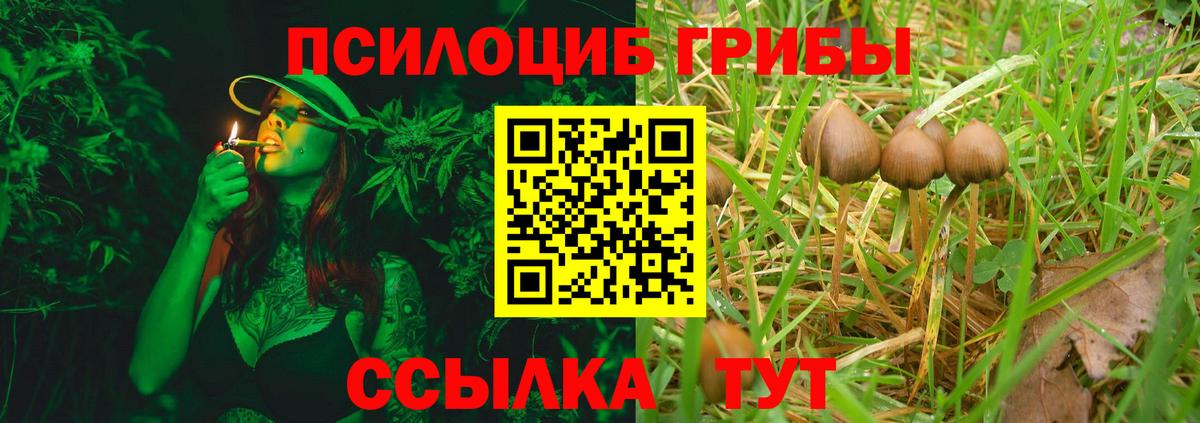 Галлюциногенные грибы Psilocybine cubensis  Псилоцибиновые грибы Psilocybe  Вход с VPN  Белово 